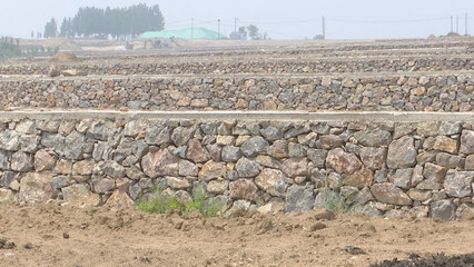 泰安新泰市樓德鎮(zhèn) 土地整理賦能特色產(chǎn)業(yè)，繪就鄉(xiāng)村振興新畫卷