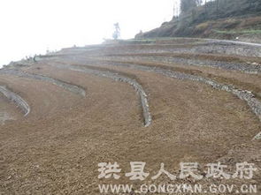珙縣土地整理項(xiàng)目迎接市國土資源局初次評估驗(yàn)收，為房地產(chǎn)開發(fā)奠定基礎(chǔ)