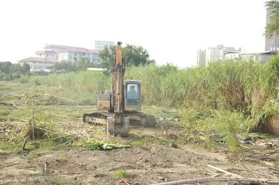 曹溪片區(qū)攻堅克難 浮蔡棚改項目集中清表助力土地高效整理