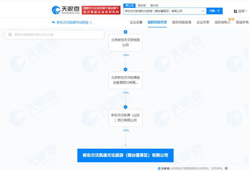 新東方文旅在煙臺成立新公司，聚焦計算機網(wǎng)絡(luò)信息及軟件技術(shù)開發(fā)